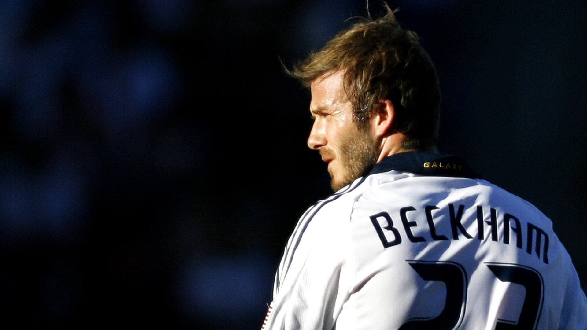 赛季“黑马”队伍：他们如何突围而出？，赛场上的黑马是什么意思